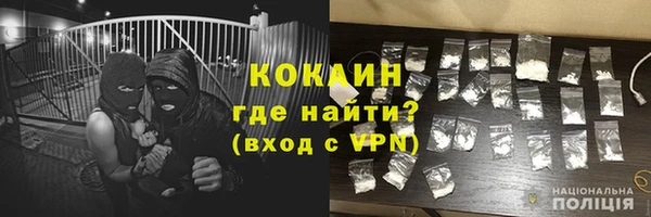шишки Волоколамск