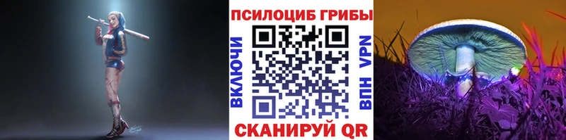 Купить где  Ртищево  Галлюциногенные грибы мухоморы 